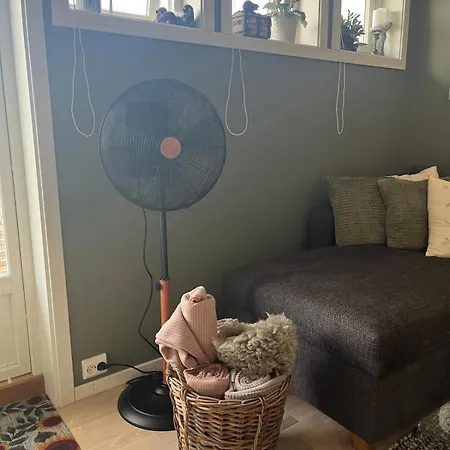 Minihus Med Sovehems Og Sovesofa *