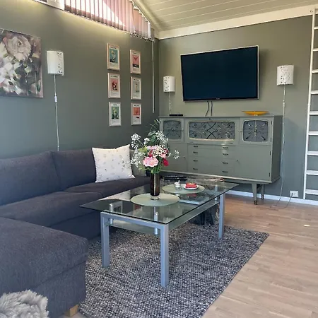 Minihus Med Sovehems Og Sovesofa Fredrikstad